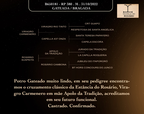 Geração ROSÁRIO DOMINANTE