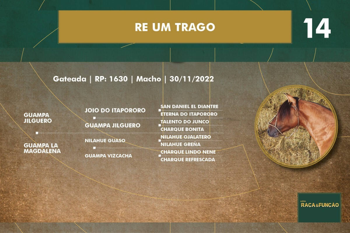 Geração RE UM TRAGO