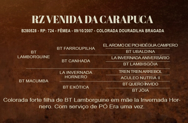 Geração RZ VENIDA DA CARAPUÇA 