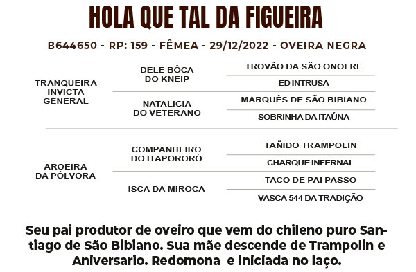 Geração HOLA QUE TAL DA FIGUEIRA