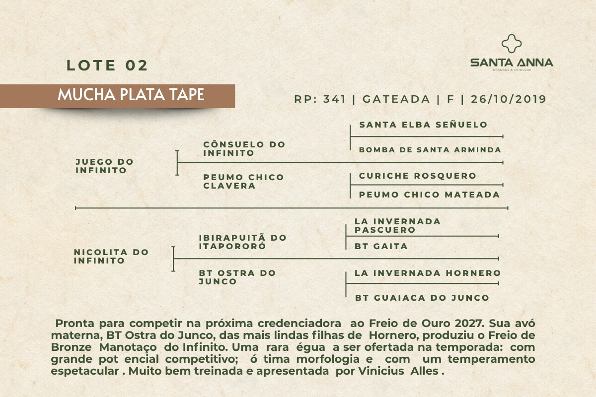 Geração MUCHA PLATA TAPE