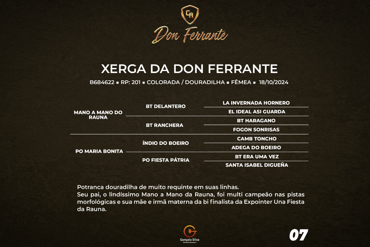Geração XERGA DA DON FERRANTE 