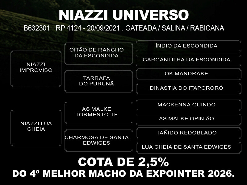 Geração COTA 2,5% NIAZZI UNIVERSO 