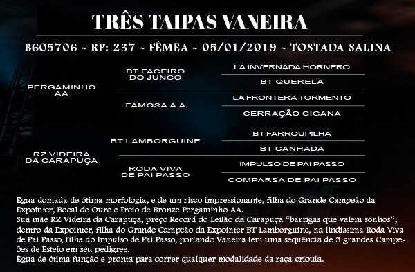 Geração TRES TAIPAS VANEIRA