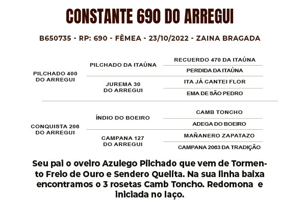 Geração CONSTANTE 690 DO ARREGUI