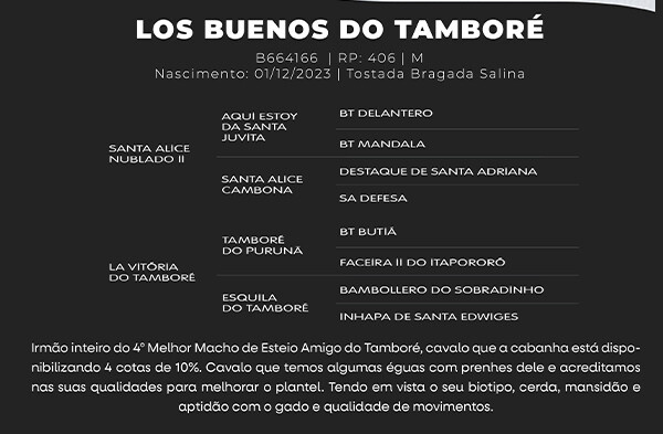 Geração LOS BUENOS DO TAMBORÉ