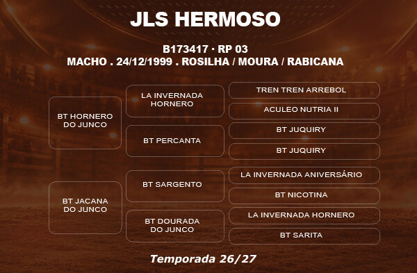 Geração COBERTURA JLS HERMOSO 