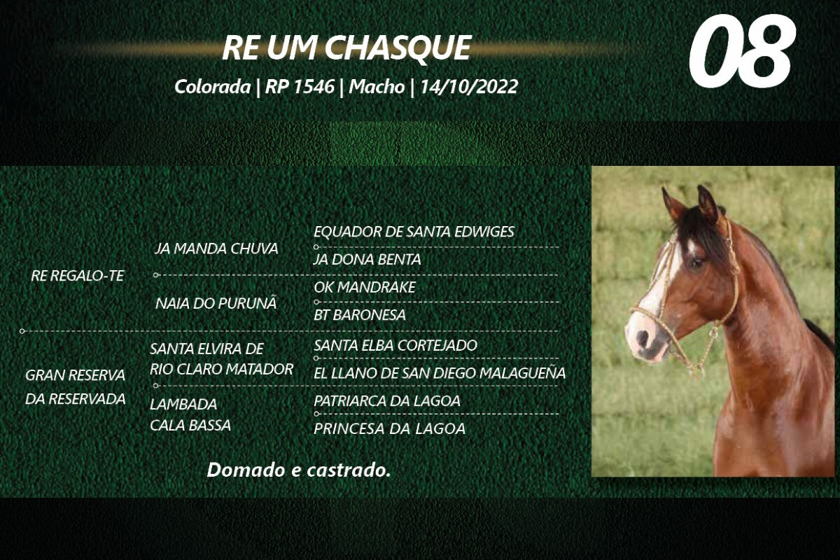 Geração RE UM CHASQUE