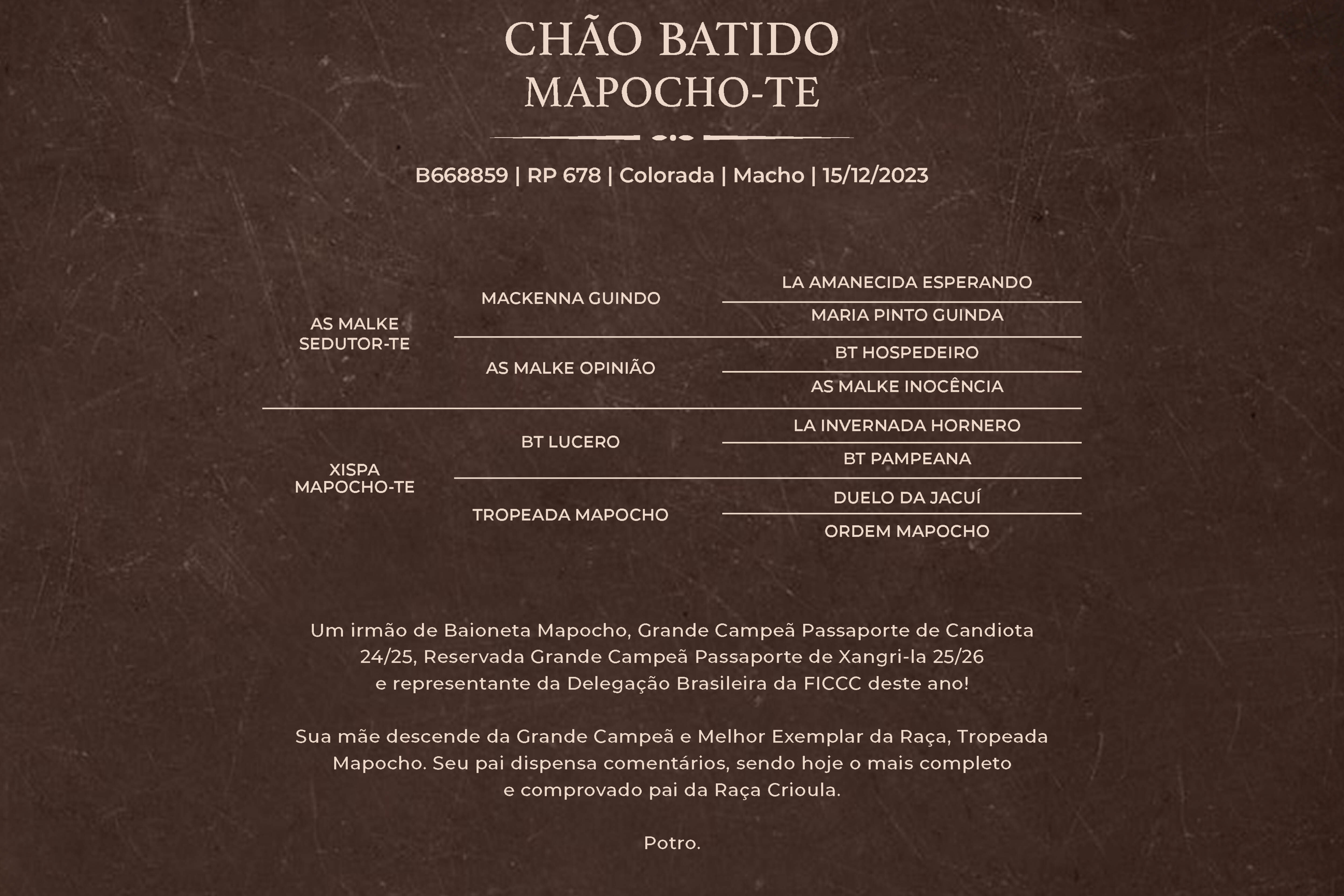 Geração CHÃO BATIDO MAPOCHO-TE