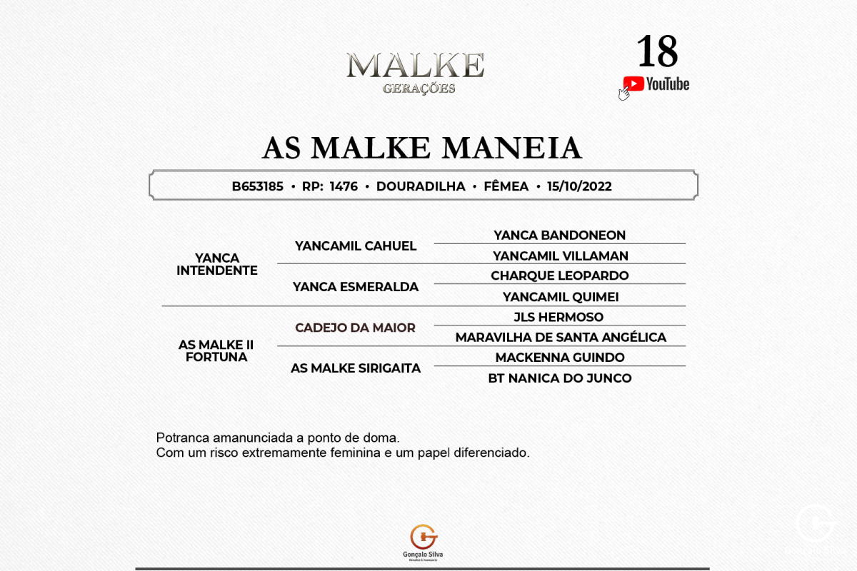Geração AS MALKE MANEIA