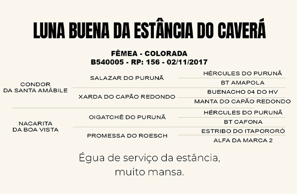 Geração LUNA BUENA DA ESTANCIA CAVERA 