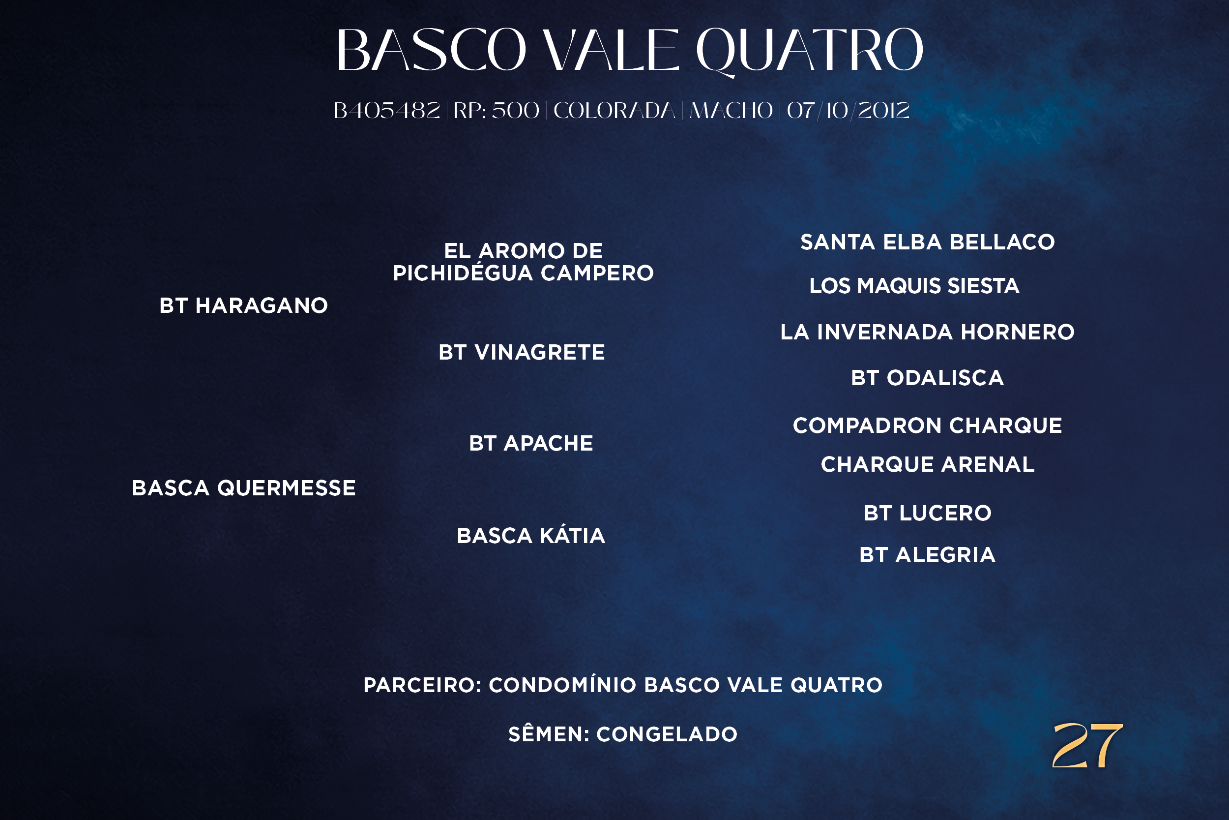 Geração BASCO VALE QUATRO