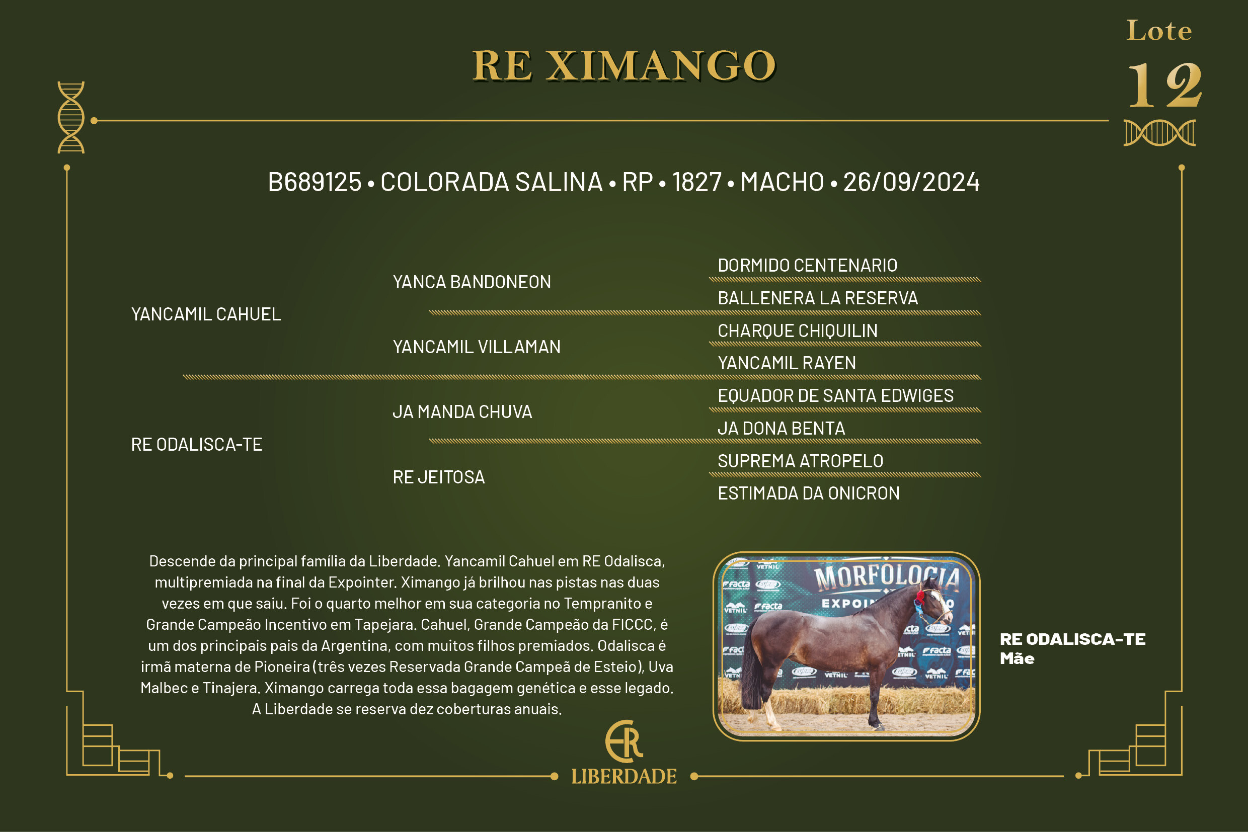 Geração RE XIMANGO 