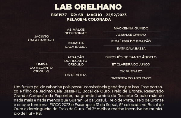 Geração LAB ORELHANO