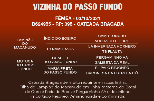 Geração VIZINHA DO PASSO FUNDO