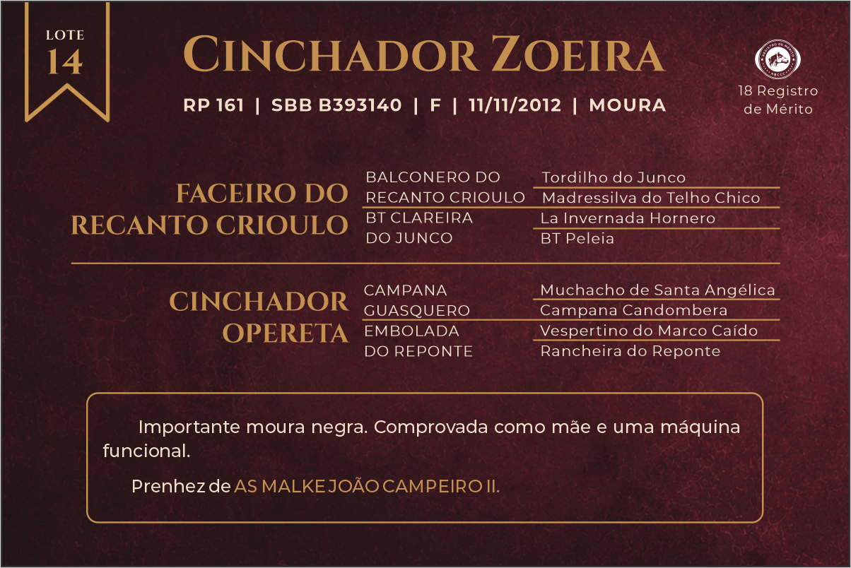 Geração CINCHADOR ZOEIRA