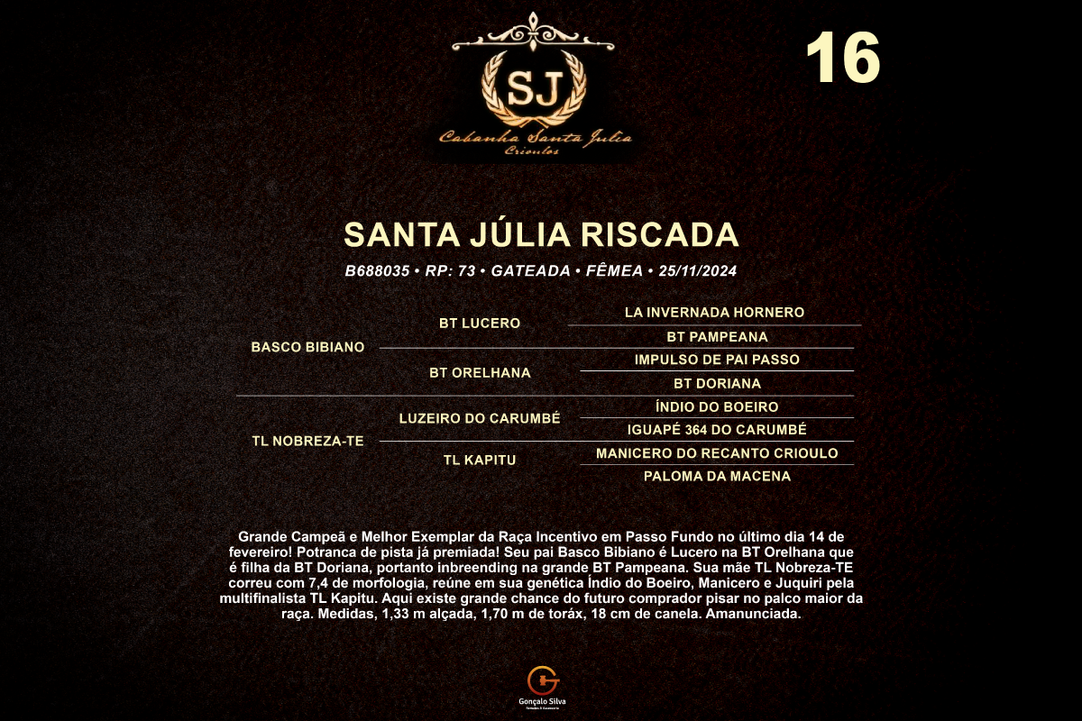 Geração SANTA JULIA RISCADA 