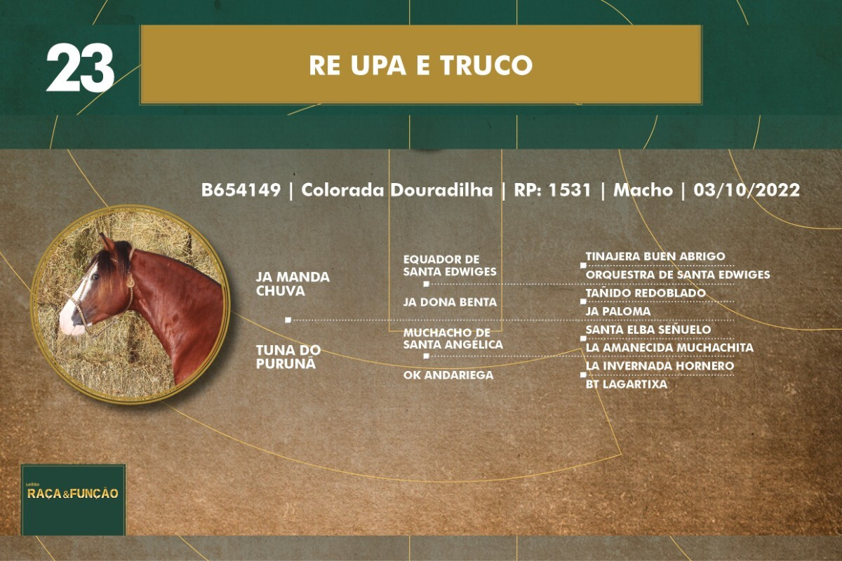 Geração RE UPA E TRUCO