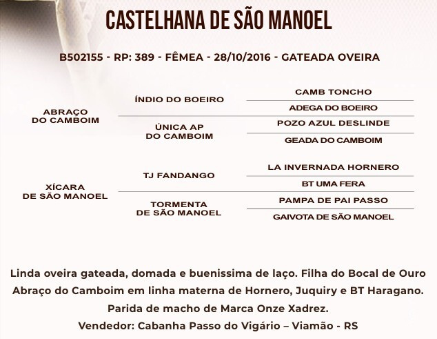 Geração CASTELHANA DE SÃO MANOEL