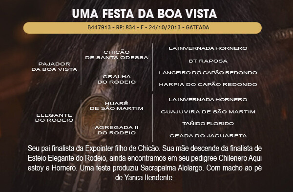 Geração UMA FESTA DA BOA VISTA 