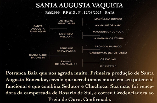 Geração SANTA AUGUSTA VAQUETA