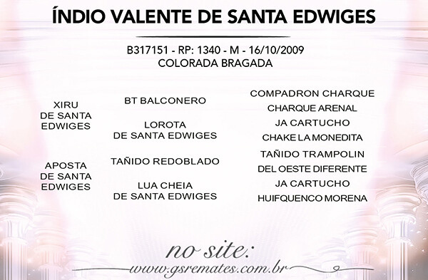 Geração INDIO VALENTE DE SANTA EDWIGES