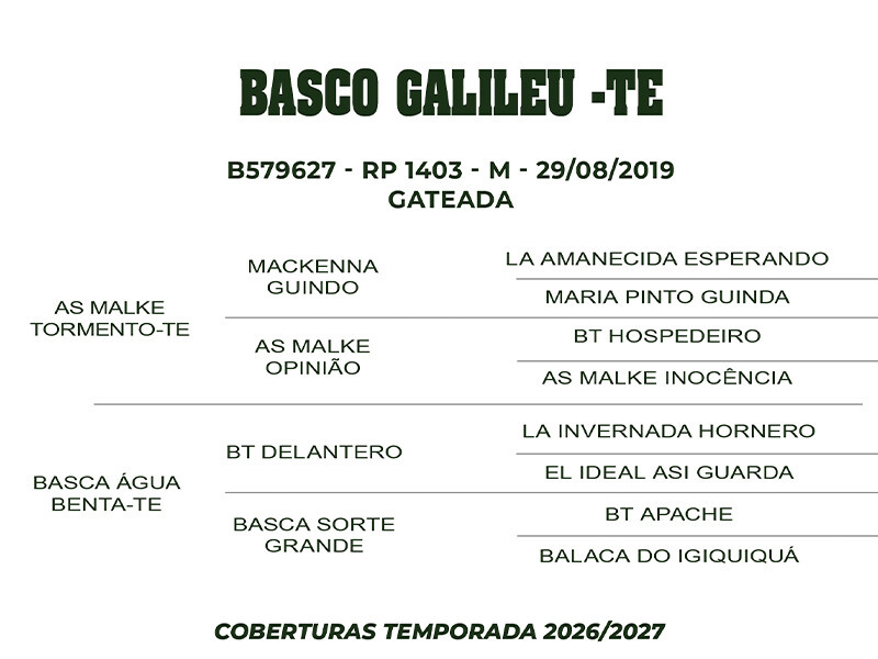 Geração COBERTURA BASCO GALILEU - TE 