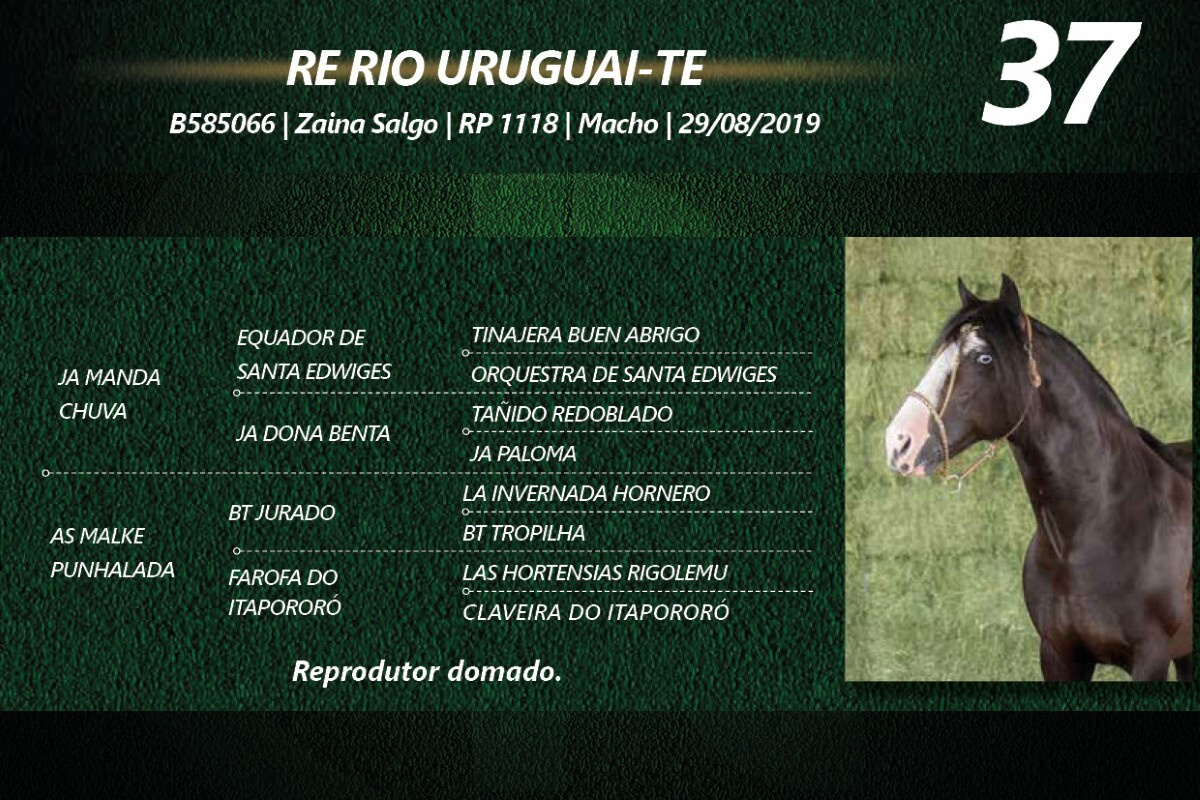 Geração RE RIO URUGUAI-TE