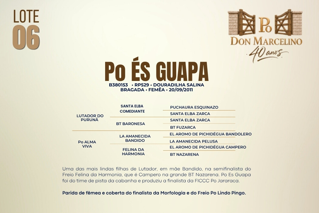 Geração PO ÉS GUAPA