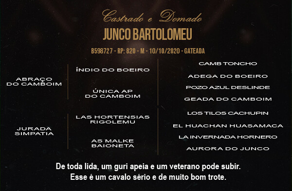 Geração JUNCO BARTOLOMEU