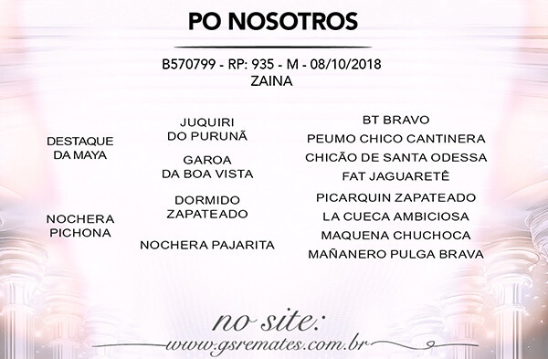 Geração PO NOSOTROS