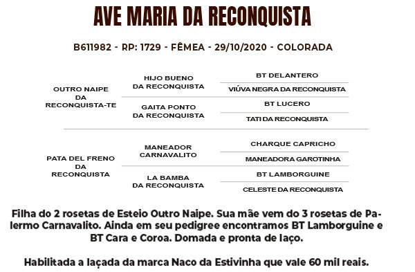 Geração AVE MARIA DA RECONQUISTA