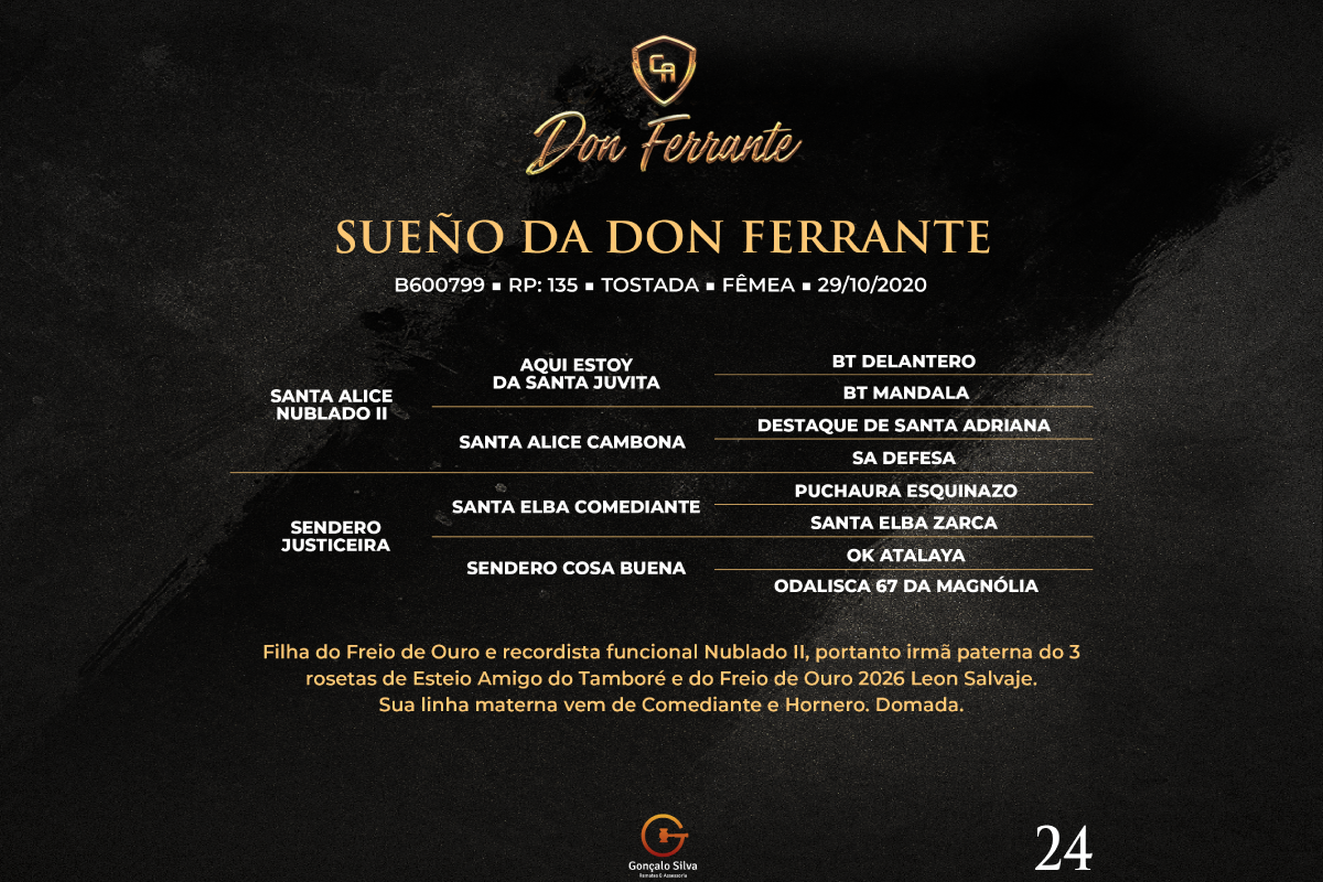 Geração SUEÑO DA DON FERRANTE 
