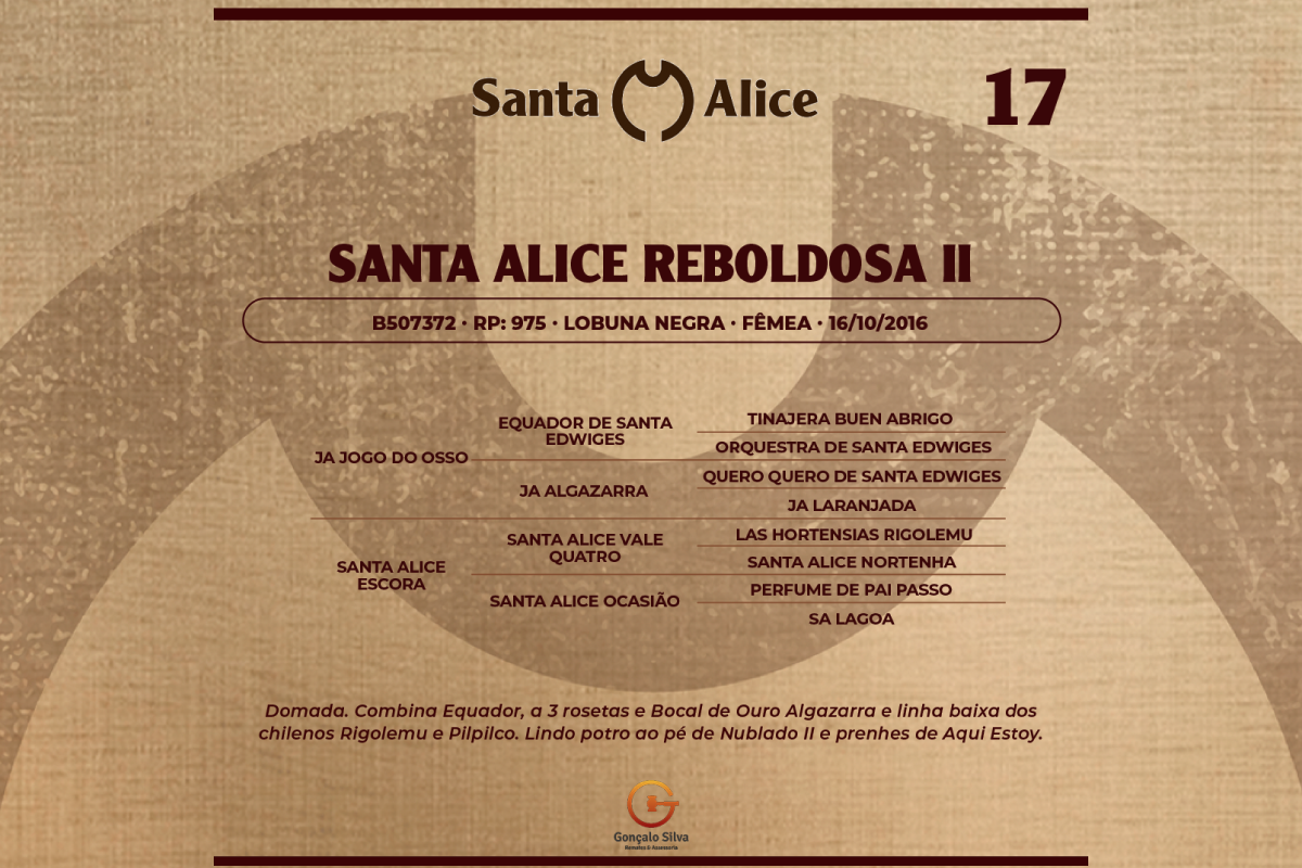 Geração SANTA ALICE REBOLDOSA II