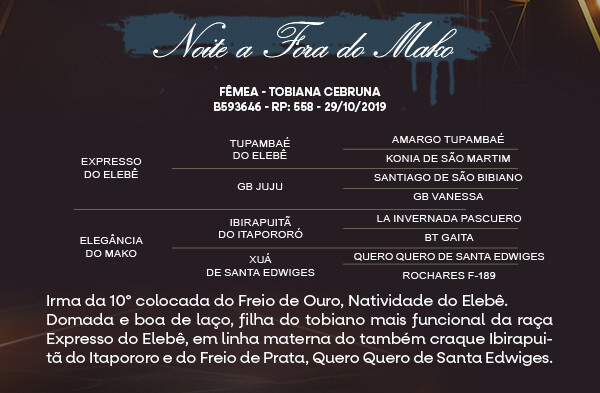 Geração NOITE A FORA DO MAKO