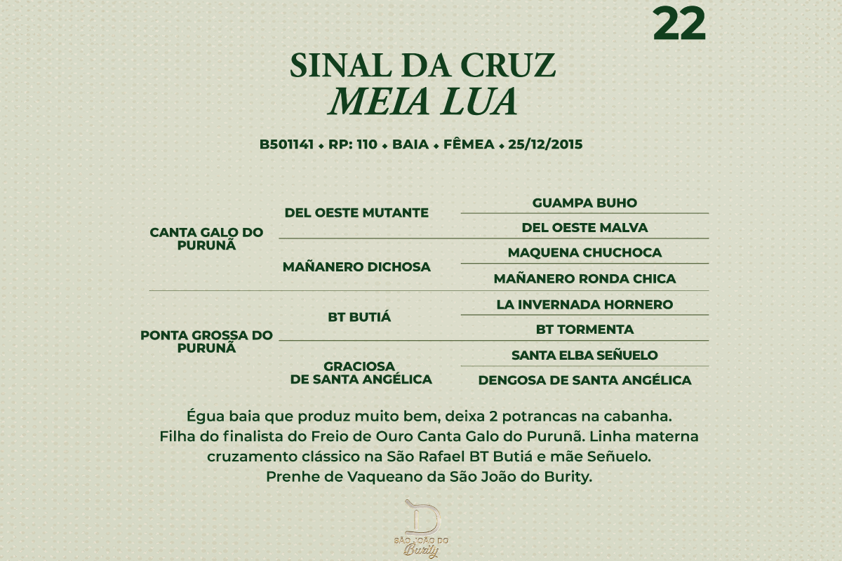 Geração SINAL DA CRUZ MEIA LUA