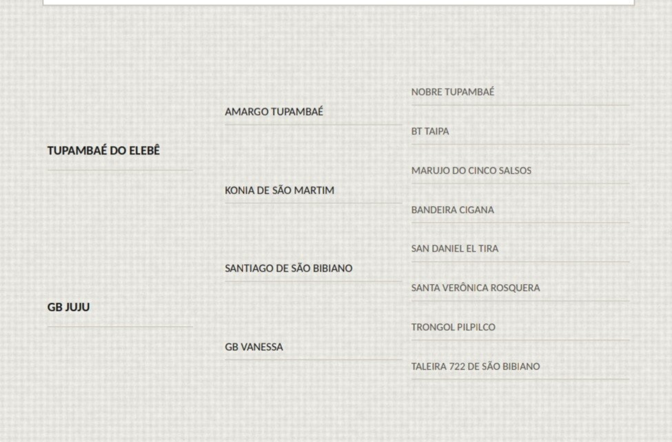 Geração EXPRESSO DO ELEBÊ