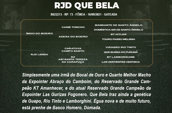 Geração RJD QUE BELA 