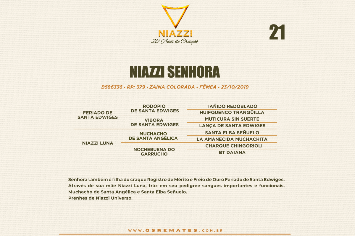 Geração NIAZZI SENHORA