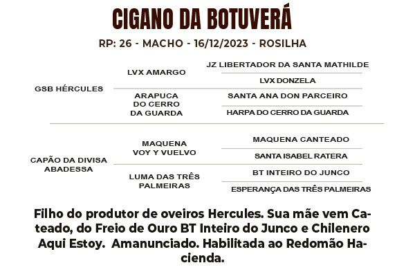 Geração CIGANO DA BOTUVERÁ SR