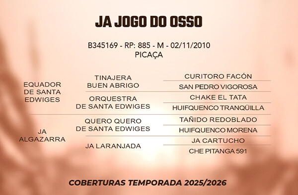 Geração JA JOGO OSSO 