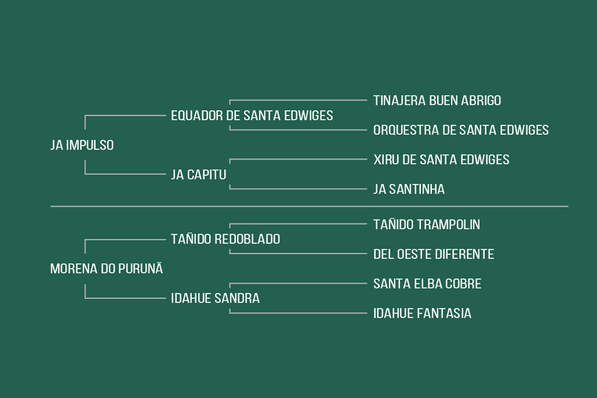 Geração PIMENTA DA CABANHA SANTA FÉ
