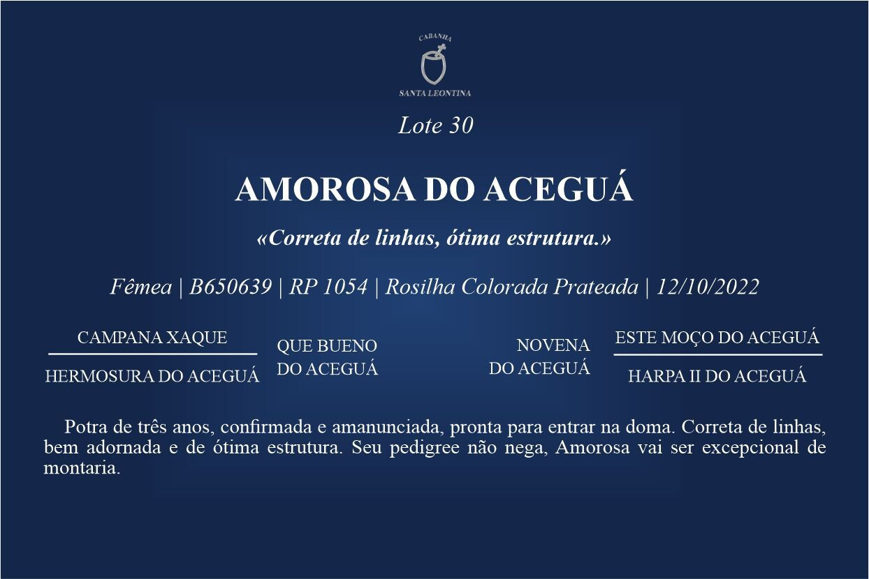 Geração AMOROSA DO ACEGUÁ