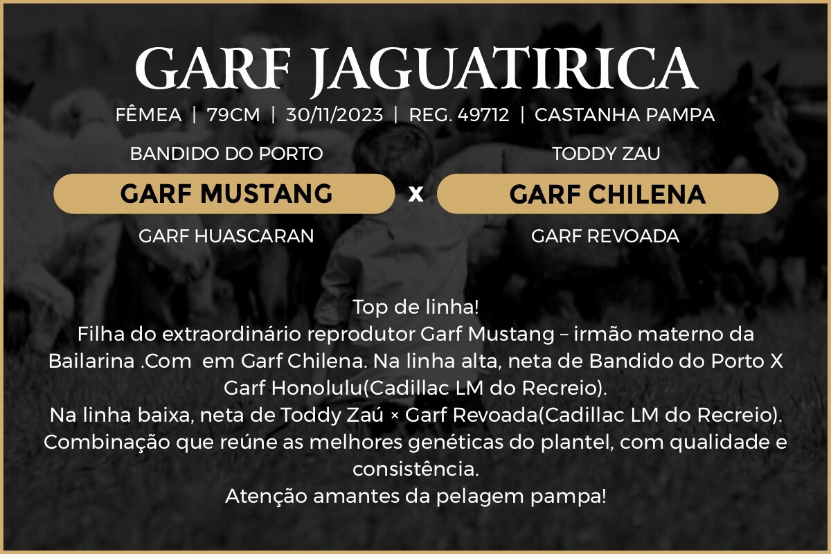 Geração GARF JAGUATIRICA