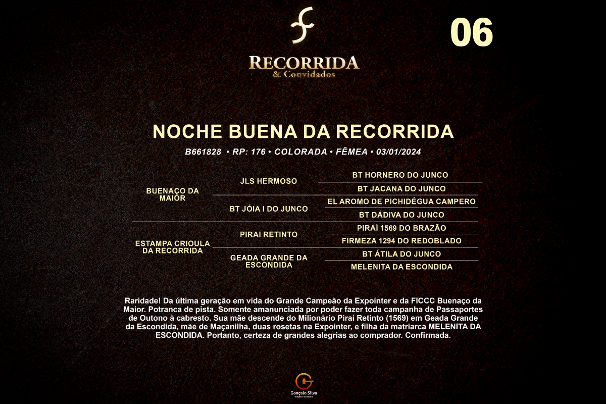 Geração NOCHE BUENA DA RECORRIDA 