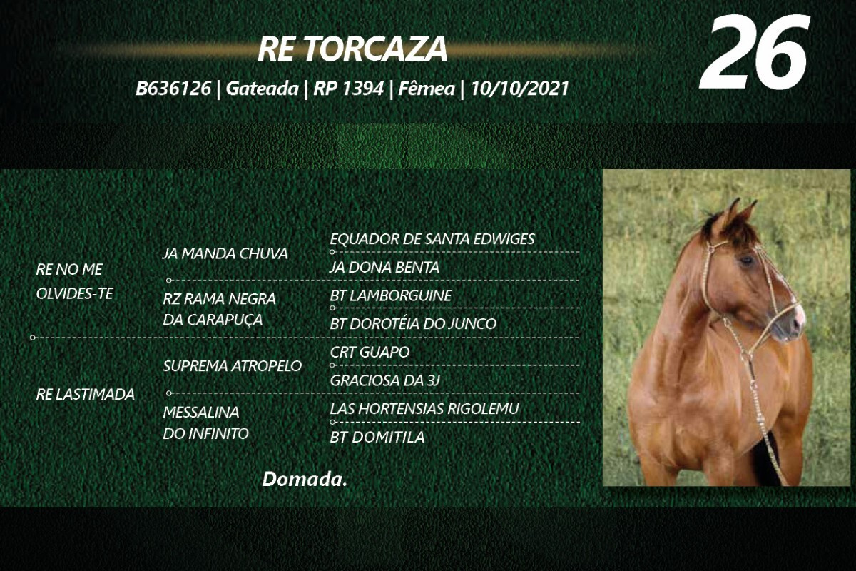 Geração RE TORCAZA