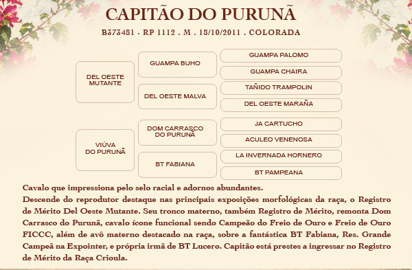 Geração COBERTURAS CAPITÃO DO PURUNÃ