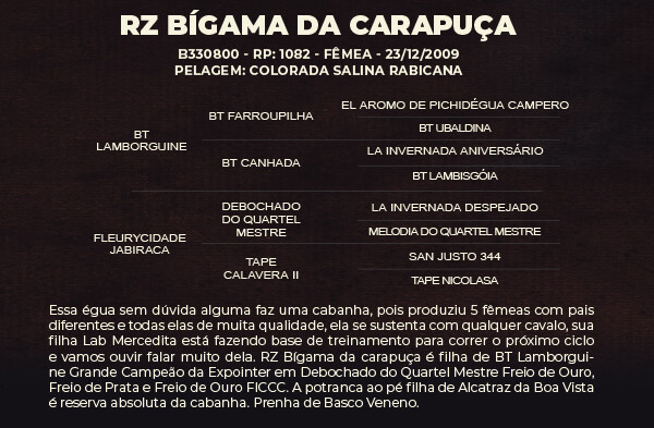 Geração RZ BÍGAMA DA CARAPUÇA