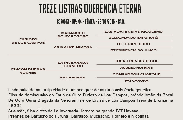 Geração TREZE LISTRAS QUERENCIA ETERNA