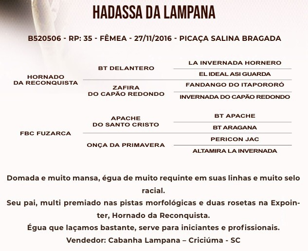 Geração HADASSA DA LAMPANA